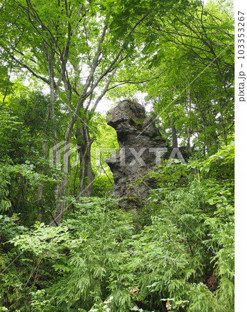 新潟県関川村の大石ダム湖畔にあるゴジラに似た岩 103353267