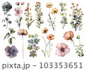 Vector watercolor painted flower. Hand drawn flower design elements isolated on white background. 103353651