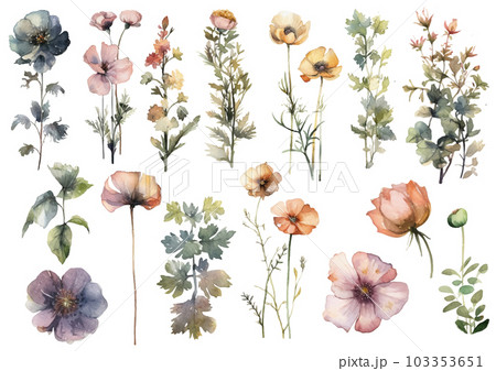 Vector watercolor painted flower. Hand drawn flower design elements isolated on white background. 103353651