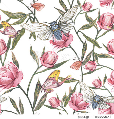 Seamless pattern butterfly, cicada, peony isolated on white background. Watercolor hand drawn illustration. Art design Seamless pattern butterfly, cicada, peony isolated on white background. Watercolor hand drawn illustration. Art design 103355021