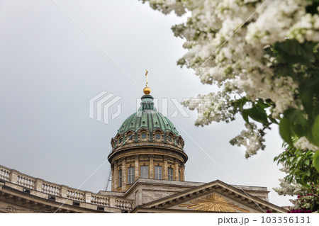 dome of building Kazan Orthodox Cathedral and blooming white lilacs in defocus on Nevsky Prospect in St. Petersburg in summer 103356131