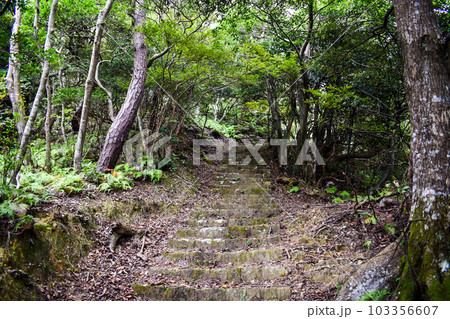 城崎温泉の裏山【自然の丘の中を冒険ハイキング】 103356607