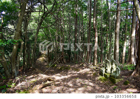 城崎温泉の裏山【自然の丘の中を冒険ハイキング】 103356658