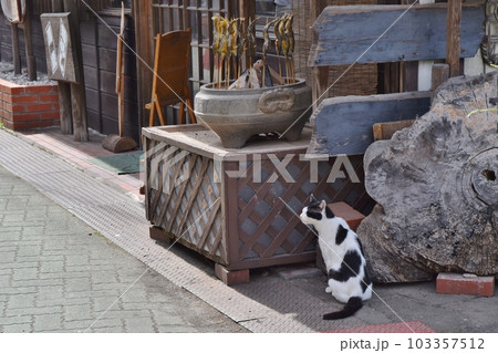 鮎の塩焼きを食べたい猫 103357512