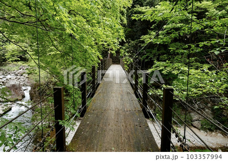 三段峡　南方橋 103357994