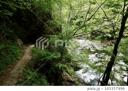 三段峡 水梨駐車場から黒淵間の遊歩道からの景色 三段峡 水梨駐車場から黒淵間の遊歩道からの景色 103357996
