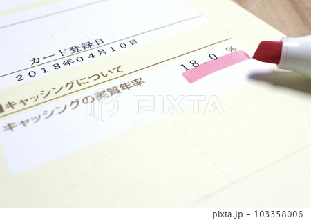 キャッシングの説明 実質年率 キャッシングの説明 実質年率 103358006