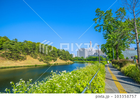 日本の東京都市景観 初真夏日…新緑の皇居や内堀通りなどを望む(奥に警視庁など)=5月17日 日本の東京都市景観 初真夏日…新緑の皇居や内堀通りなどを望む(奥に警視庁など)=5月17日 103358757