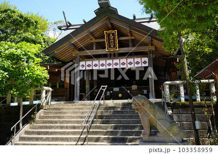 天津神明宮 御社殿 千葉県鴨川市天津 天津神明宮 御社殿 千葉県鴨川市天津 103358959