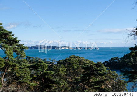 宮城県　日本三景　松島 103359449