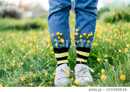 Close up female feet wearing jeans, shoes and striped black and yellow socks with flowers inside standing on the green grass of blooming meadow. Concept of bee protection, bloom season, creativity 103360616