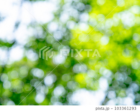 背景素材 輝く木漏れ日のリフレクション グリーン系 背景素材 輝く木漏れ日のリフレクション グリーン系 103361293