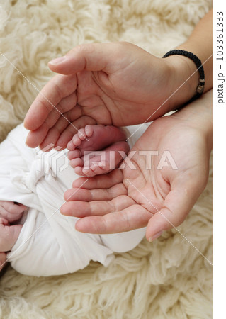 Feet of the newborn on the palms of the parents. The palms of the father and mother are holding the foot of the newborn baby in a white flokati blanket. Photography of a child's toes, heels and feet. Feet of the newborn on the palms of the parents. The palms of the father and mother are holding the foot of the newborn baby in a white flokati blanket. Photography of a child's toes, heels and feet. 103361333