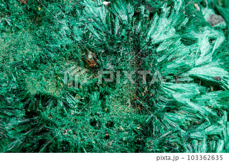 Macro mineral stone plisoviy, plush, satin malachite on a white background Macro mineral stone plisoviy, plush, satin malachite on a white background 103362635