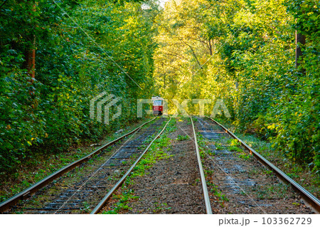 Tram and tram rails in colorful forest Tram and tram rails in colorful forest 103362729