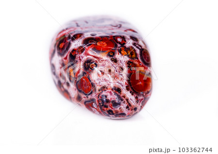 Macro mineral stone Jasper leopard on white background Macro mineral stone Jasper leopard on white background 103362744