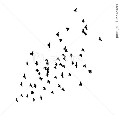 A flock of flying birds. Free birds. Vector illustration A flock of flying birds. Free birds. Vector illustration 103364694