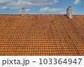 A house with a old tiled roof 103364947