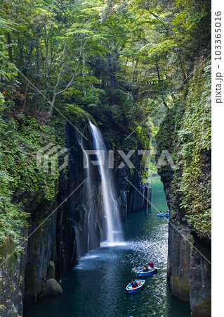宮崎県/ 新緑の高千穂峡「真名井の滝」 103365016