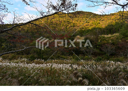 丹波篠山の風景 103365609