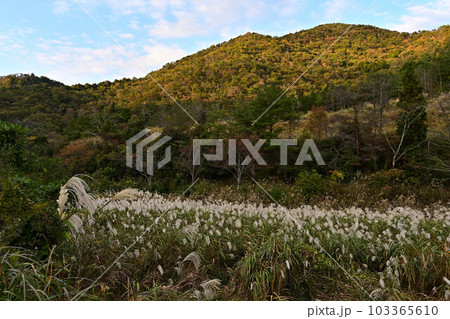 丹波篠山の風景 丹波篠山の風景 103365610