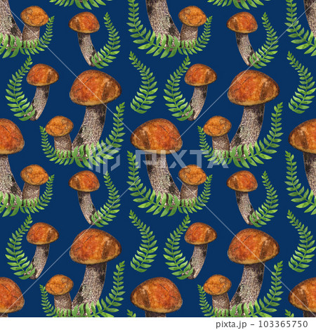 Seamless endless pattern. Boletus edible forest mushroom, fern. Botanical drawing. Hand-drawn watercolor illustration on navy blue background. For textiles, packaging, fabric Seamless endless pattern. Boletus edible forest mushroom, fern. Botanical drawing. Hand-drawn watercolor illustration on navy blue background. For textiles, packaging, fabric 103365750