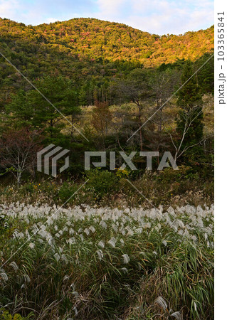 丹波篠山の風景 丹波篠山の風景 103365841
