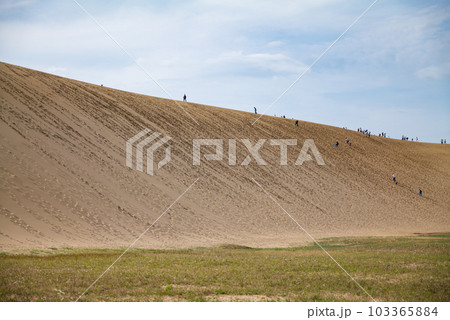 鳥取砂丘の馬の背に登る人々 103365884