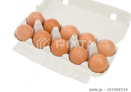 茶色い卵の10個パック 茶色い卵の10個パック 103366524
