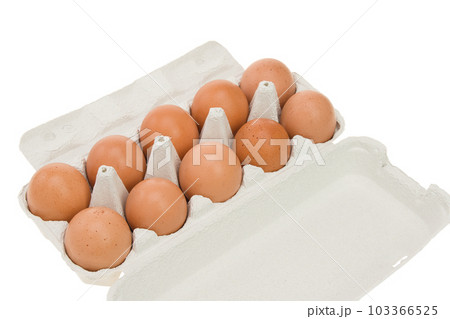 茶色い卵の10個パック 103366525