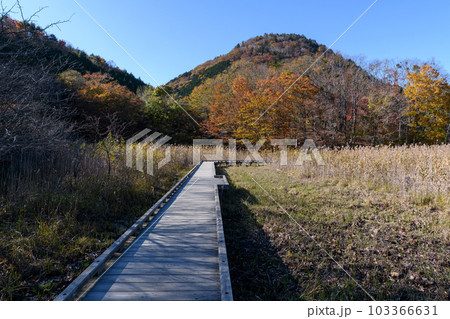 秋の塩原の大沼公園 103366631