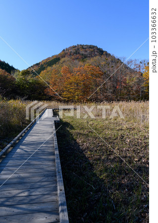 秋の塩原の大沼公園 秋の塩原の大沼公園 103366632