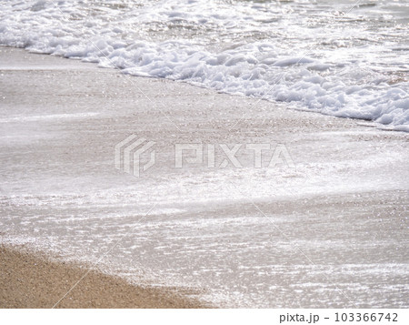 砂浜の波打ち際。 103366742