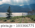 後光のさす湖と一本の樹木 103366775