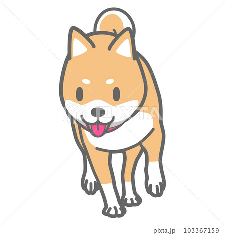 散歩する柴犬のベクターイラスト 103367159