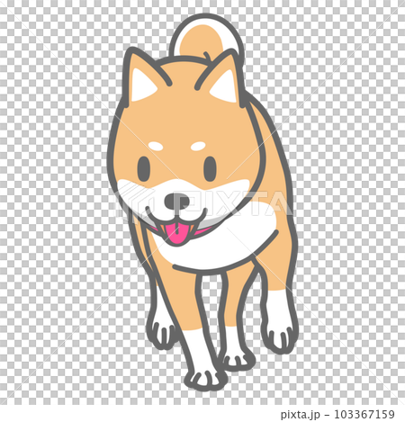 散歩する柴犬のベクターイラスト 103367159