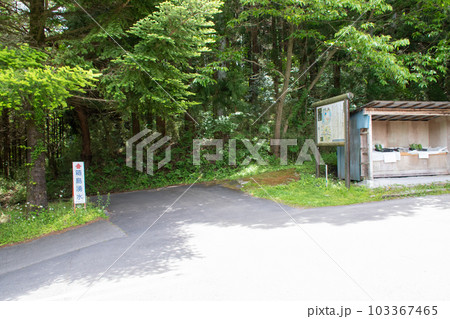 箱島湧水に向かう道 群馬県東吾妻町 箱島湧水に向かう道 群馬県東吾妻町 103367465