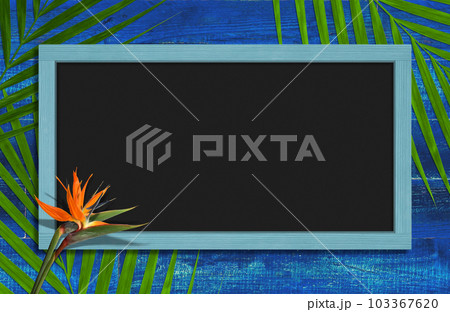 鮮やかなブルーの板壁とブラックボード、椰子の葉とストレリチアを添えて 鮮やかなブルーの板壁とブラックボード、椰子の葉とストレリチアを添えて 103367620