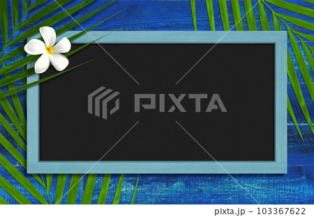 鮮やかなブルーの板壁とブラックボード、椰子の葉とプルメリアを添えて 鮮やかなブルーの板壁とブラックボード、椰子の葉とプルメリアを添えて 103367622