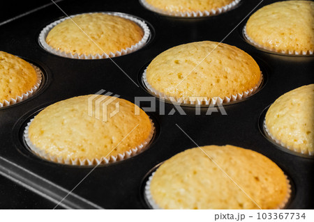 Cupcakes, muffins baking and rising in electric oven: close up Cupcakes, muffins baking and rising in electric oven: close up 103367734