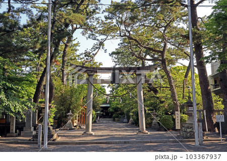 浜松八幡宮(浜松) 浜松八幡宮(浜松) 103367937