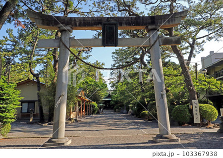 浜松八幡宮（浜松） 103367938