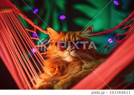 Cat wearing sunglasses relaxing in hammock among lush tropical foliage during summer day. Generative AI Cat wearing sunglasses relaxing in hammock among lush tropical foliage during summer day. Generative AI 103368611