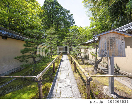 大徳寺山内 高桐院の入口 大徳寺山内 高桐院の入口 103368631