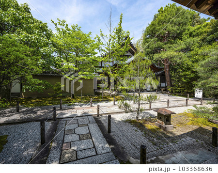 大徳寺　大仙院本堂（方丈）玄関前の庭 103368636