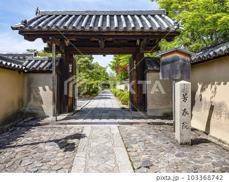 大徳寺 芳春院(ほうしゅんいん) 大徳寺 芳春院(ほうしゅんいん) 103368742