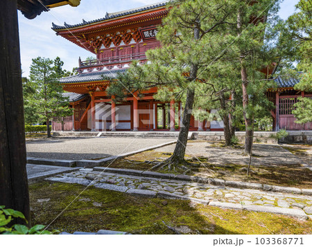 龍寳山大徳寺　山門 （金毛閣） 103368771