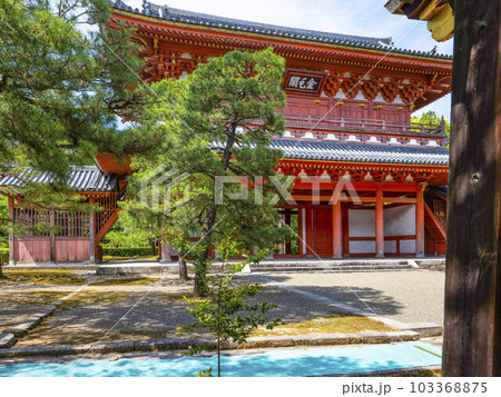 大徳寺 山門 (金毛閣) 大徳寺 山門 (金毛閣) 103368875
