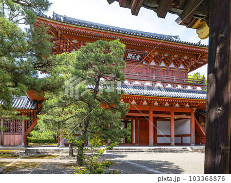 大徳寺 山門 (金毛閣) 大徳寺 山門 (金毛閣) 103368876