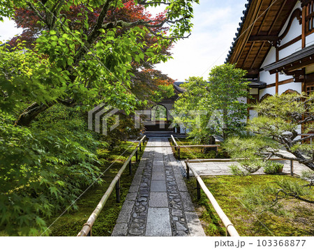 大徳寺　興臨院（こうりんいん）唐門 103368877
